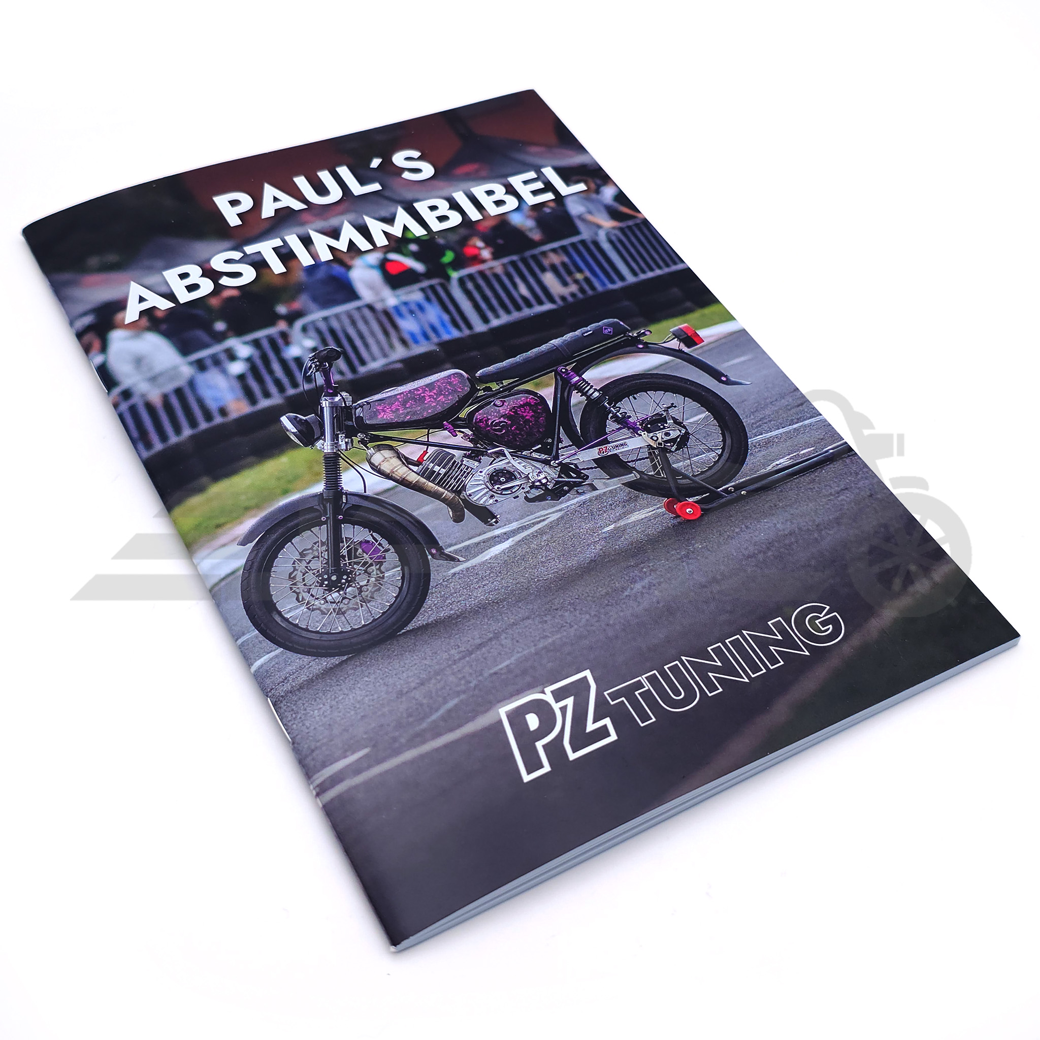 Dein Simson-Ratgeber - Paul´s Abstimmbibel Dein Simson-Ratgeber - Paul´s Abstimmbibel